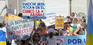 Manifestación en Santa Cruz de Tenerife. ! Foto: noticias8islas.com